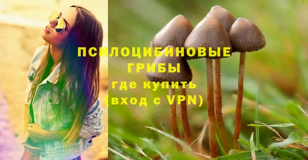 круглые Богданович