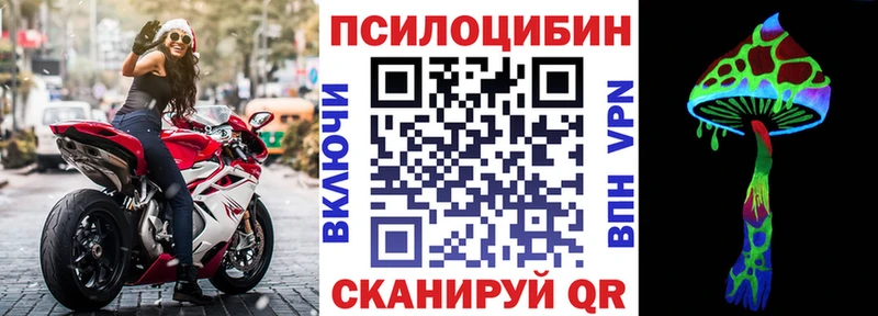 магазин    Бугуруслан  Галлюциногенные грибы Cubensis 